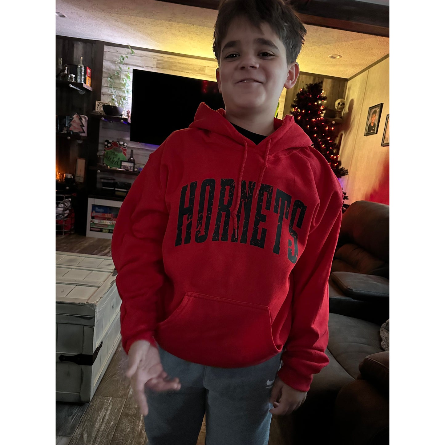 Distressed Hornets Hoodie