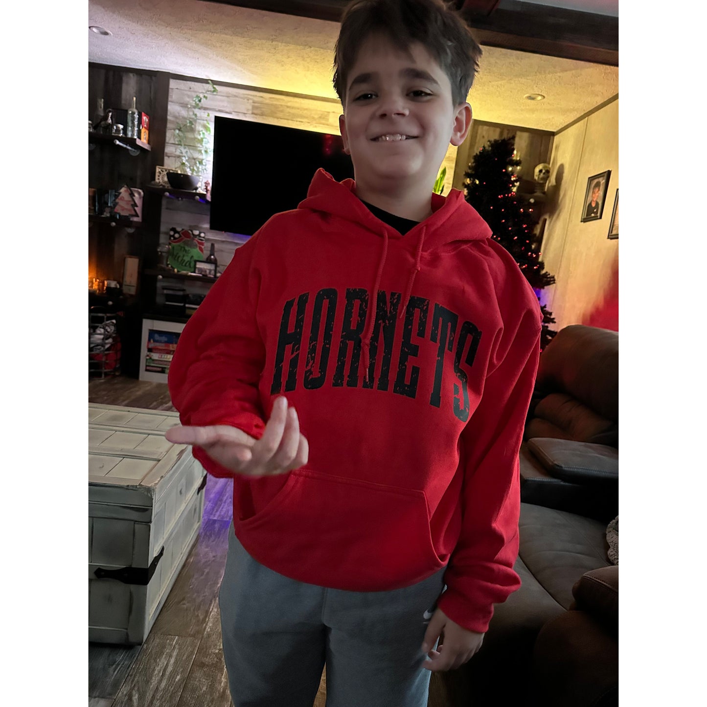 Distressed Hornets Hoodie